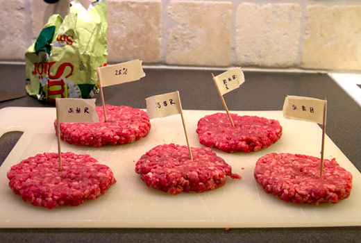 Bild av Köttfärstest