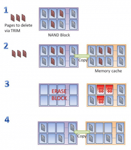 trimcheck-image-6